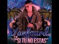 SI TU NO ESTAS salsa con letra YANFOURD
