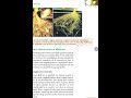 Biotechnology applications part 4 