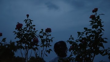 How To Film Cinematic Run & Gun Music Videos (3 EASY Tips!)