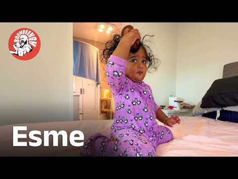Daily Vlog EP.204 | Esme | Family Vlog | A Day in Our Life | Malayalam | @BoomBaangh