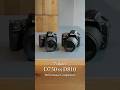 Nikon D750 vs D810: Which DSLR Fits Your Shooting Style?
