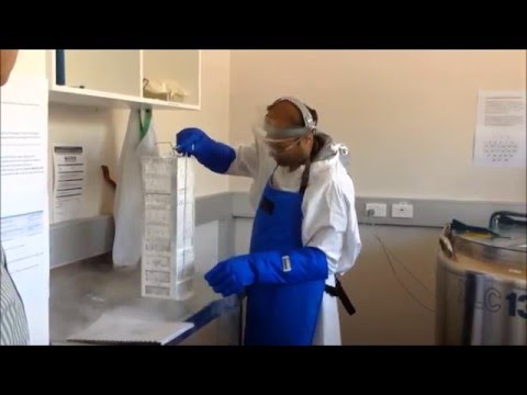Retrieving a Vial