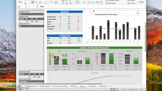 ScreenCast for Excel Dashboard Project