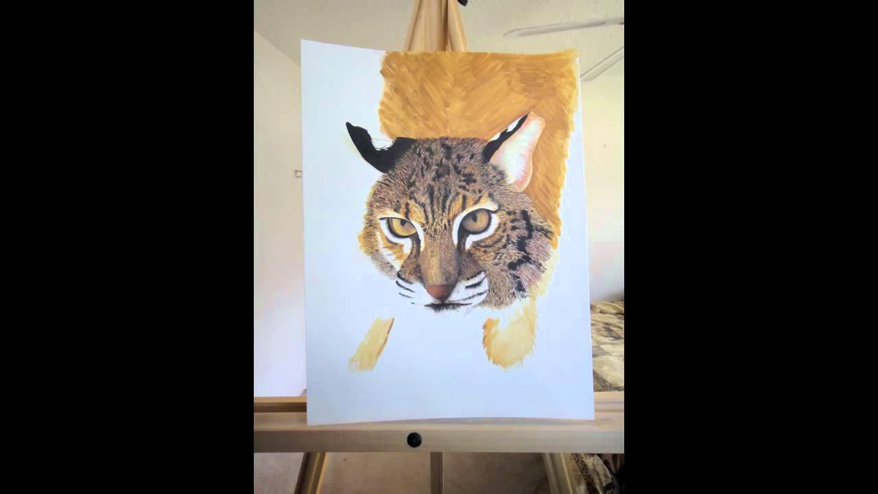 programmazione italia 1 Painting SKIP the rehab bobcat!