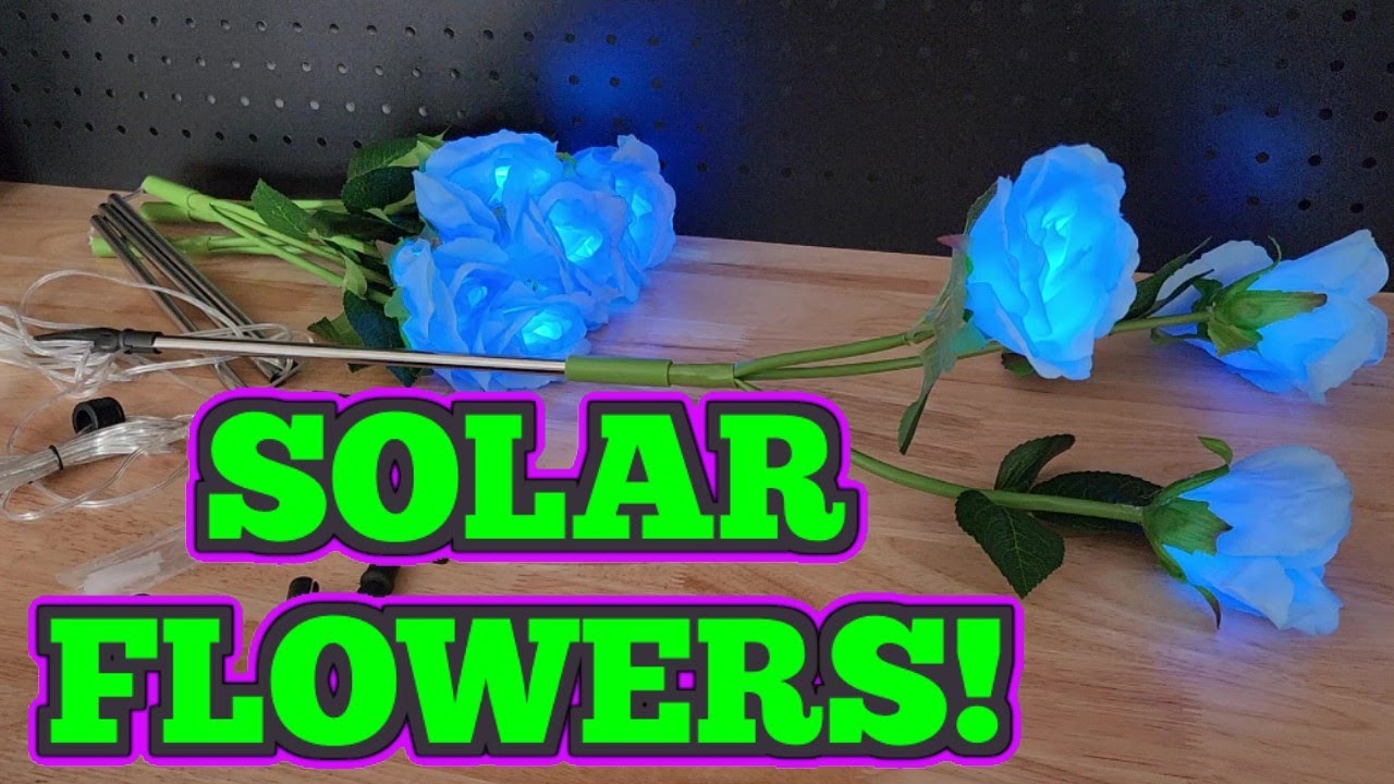 Check Out These Solar Powered Flowers! YouTube