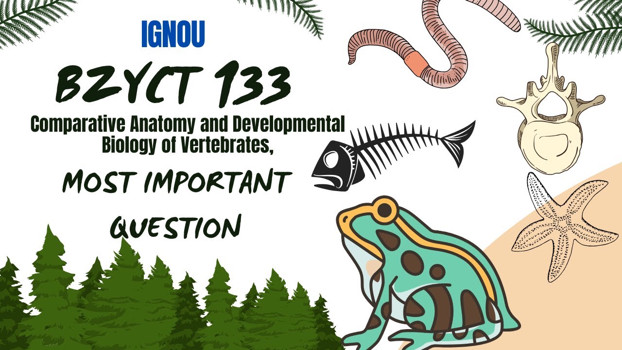 BZYCT 133  MOST IMPORTANT QUESTIONS | ZOOLOGY | IGNOU | 