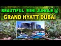 Beautiful  mini jungle  grand hyatt dubai