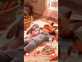 rượu vào thì ta sợ ai// nhạc hay không nghe thì phí