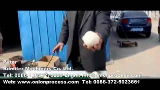 Automatic Onion Root Cutting and Peeling Integrated Machine