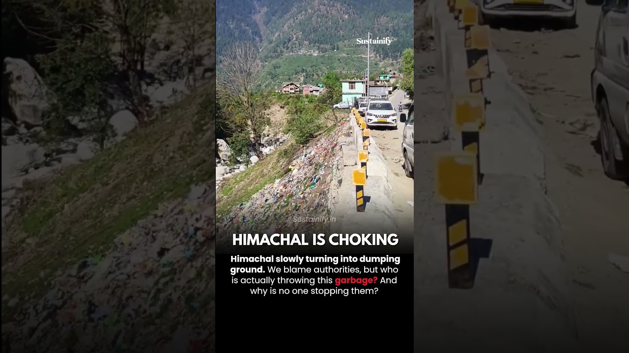 This is Himachal. A place known for beauty…now filled with garbage.  #cleanindia #civicsense #news