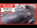 Sombras y veteados creados por la pintura o barniz