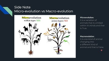 Bacterial Potential Field Explained | Motion Planning Assignment, WPI