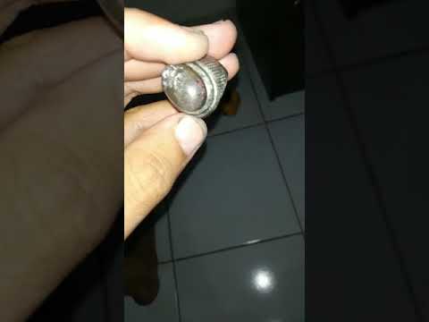 Cara Menghilangkan Zat Kapur Pada Batu Bacan - Bisabo Channel 2020