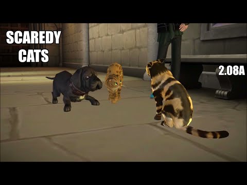 Make sure to name your cat before the Hagrid Scaredy-Cats SQ :  r/HPHogwartsMystery