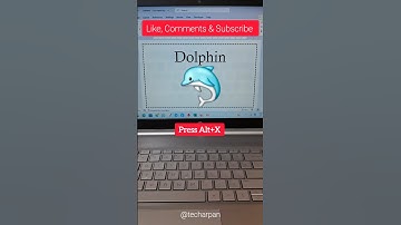 DOLPHIN 🐬 Shortcuts Symbol | Ms Word Shortcut Keys & Symbol#shorts