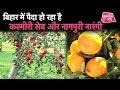 How to Grow an Apple Tree ? Bihar में हो रही है Apple और Orange की Farming   | Bihar Tak