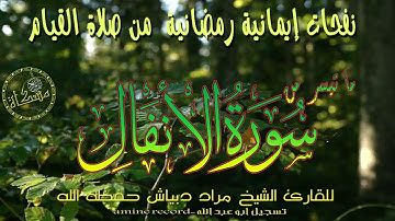 قران كريم ما تيسر من سورة الأنفال بصوت جميل سكينة لا توصف القارئ مراد دبياش حفظه الله