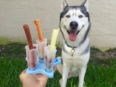 13 DIY Dog Popsicle Recipes for the Summer!