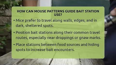How Can Mouse Patterns Guide Bait Station Use? - Insects and Invaders