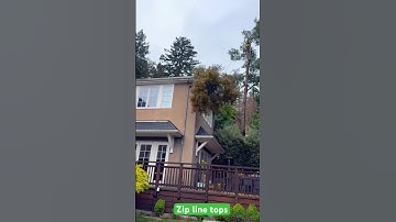 Zip line it is 👍🏻🪓 #treecare #treeworker #treework #arborist #lumber #sawblade #work #zipline