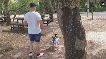 Waypoint Navigation for a Quadruped Robot in Irregular Outdoor Terrains