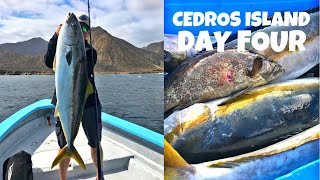 Fishing Cedros Island in Mexico for GIANT Yellowtail (Final day)