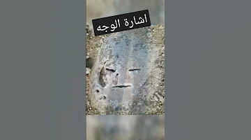 تحليل اشارة الوجه 