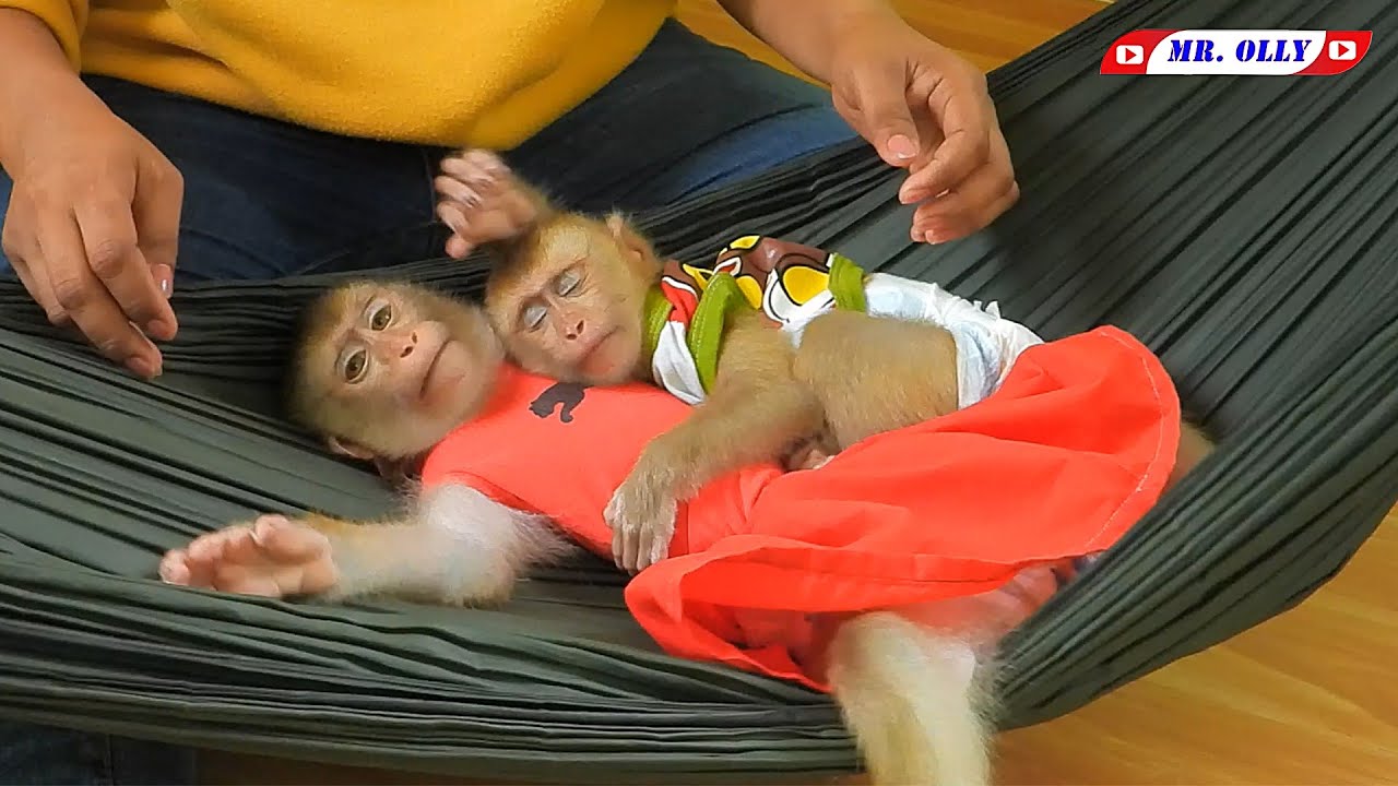 Brother OLLY Hugging Sister LUNA Sleep On Hammock