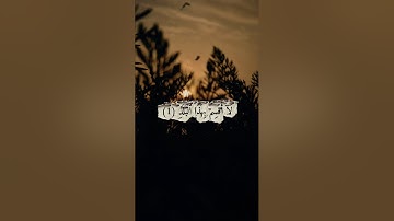 تلاوة خاشعة للشيخ المنشاوي | سورة البلد بصوت يهز القلب