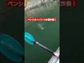 ペンシルベイトでデカバス！！#トップウォーター#バス釣り#fishing