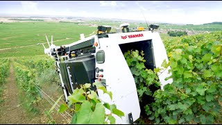 YANMAR dévoile un robot viticole de pointe autonome