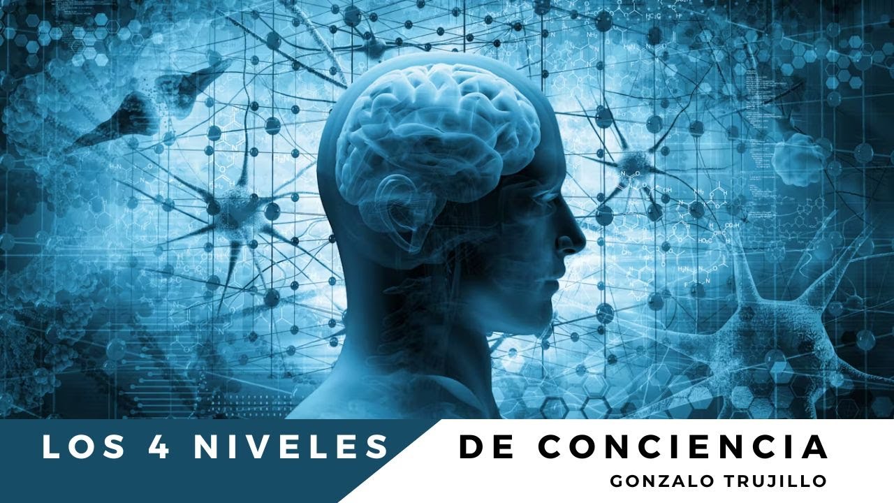 LOS 4 NIVELES DE CONCIENCIA - YouTube
