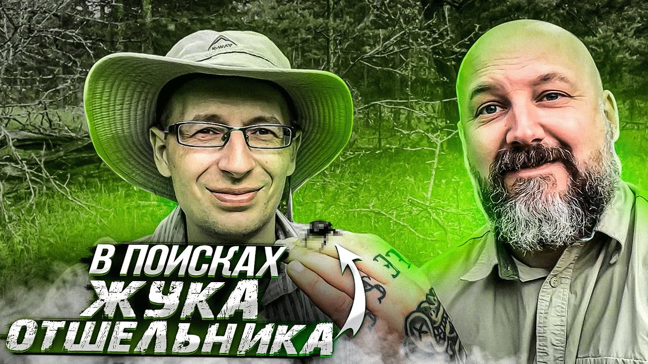 Страсти по многоногим. Часть 2: Самые редкие жуки Центральной России