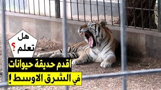 متنزه الزوراء في بغداد كما لم تره من قبل !