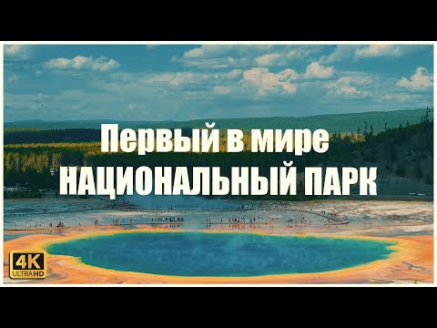 Видео: Лучшее время для посещения Йеллоустонского национального парка