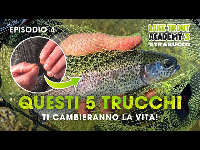 PESCARE TROTA LAGO è più facile, con QUESTI 5 TRUCCHI 🤯 » LAKE TROUT  Academy S3E4 @trabuccofishing - YouTube