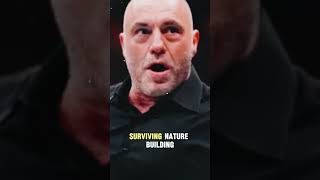 Joe Rogan BREAKS SILENCE on Controversial Topic… Fans Are DIVIDED