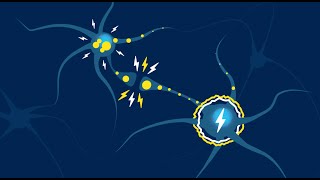 HEADS UP: sobre las conmociones cerebrales - Descripción de audio