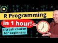 R programming in one hour  a crash course for beginners