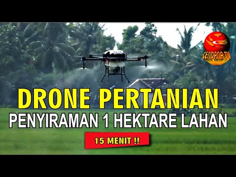 DRONE PERTANIAN PANGKAS WAKTU PENYIRAMAN