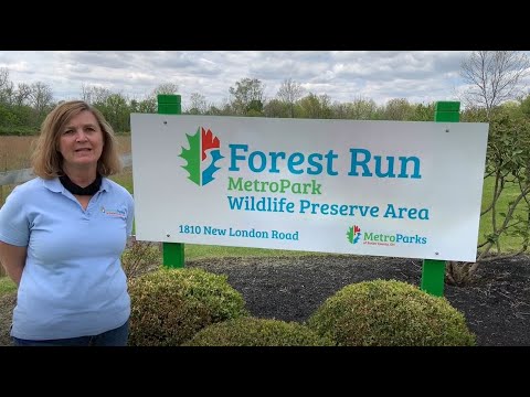 Scavenger Hunt Forest Run Wildlife Preserve 
