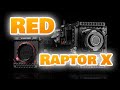 Red raptor x incroyable ou pas 