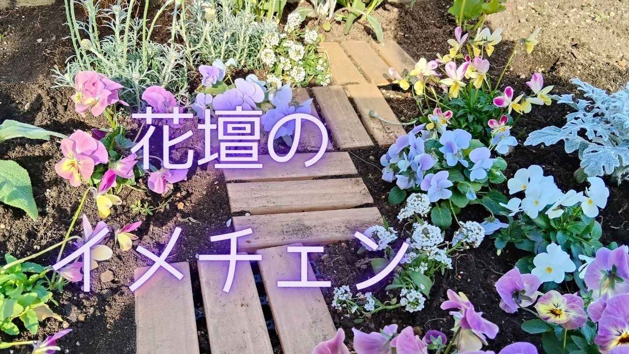 【花壇イメチェン】もっと癒されたい！