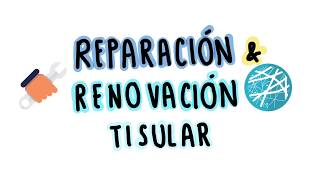 Reparación y renovación tisular (REGENERACIÓN Y CICATRIZACIÓN)