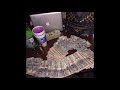 [FREE] Detroit Type Beat x 26is x Hades 66 - "ESEMBLE" (PROD. BY Jhos Prod) 