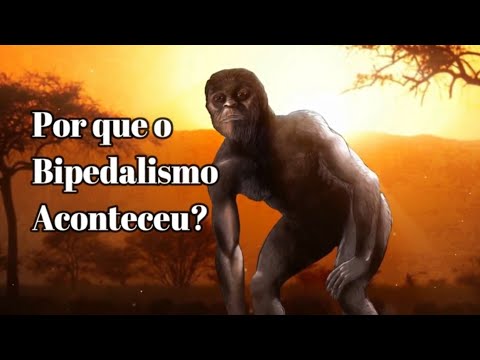 Vídeo: Quando os primatas começaram a andar eretos?
