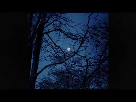 (free) post punk + molchat doma + alternative indie rock type beat ~ "blue light" (prod grayskies)