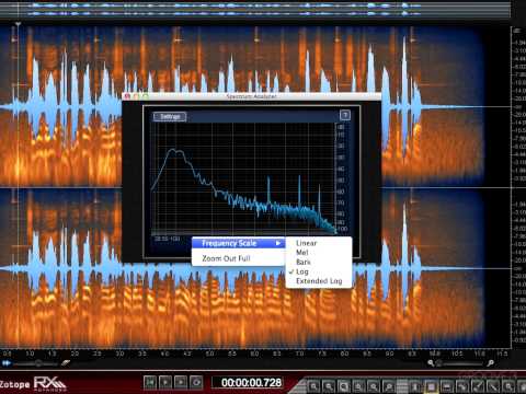 Spectrum Analyzer (iZotope RX 2 Explained)