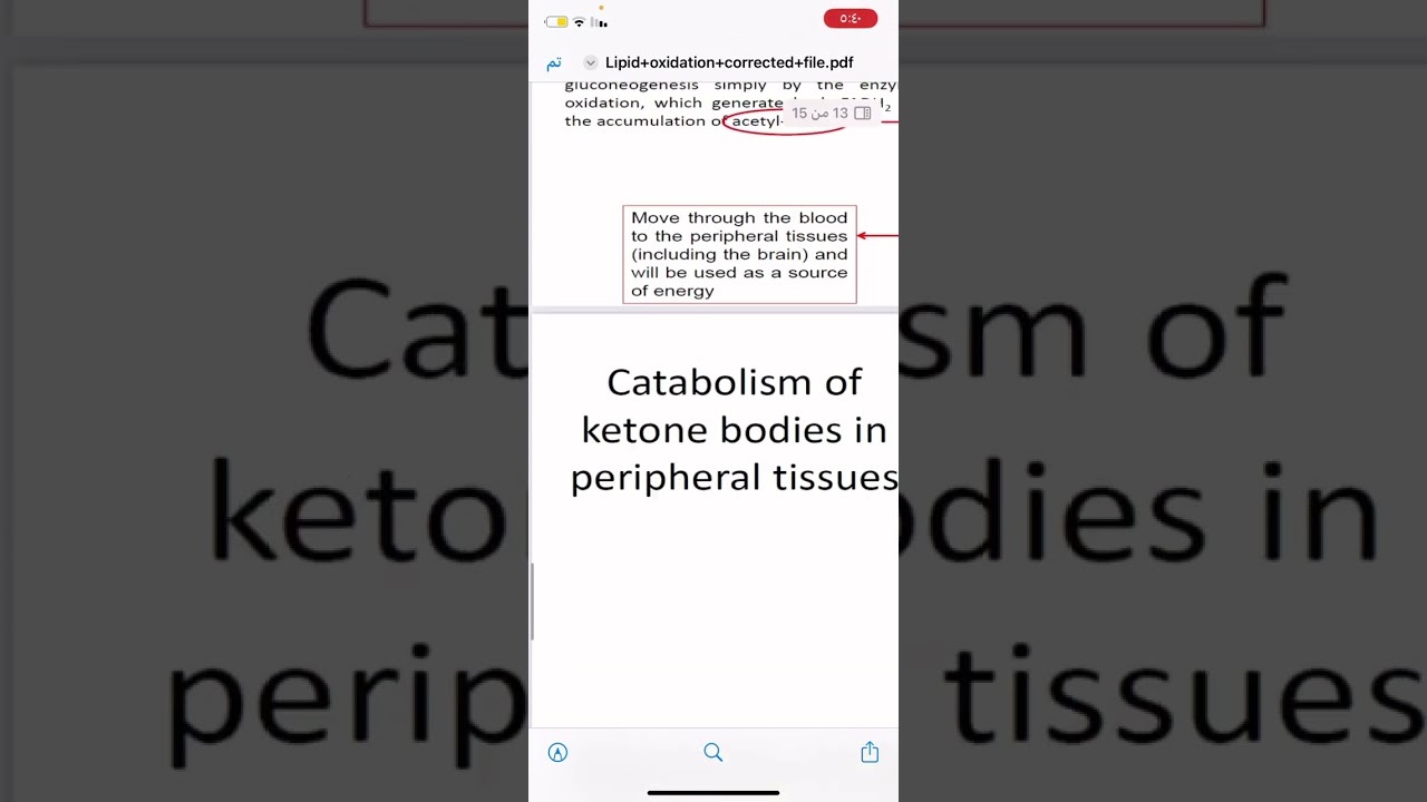 الجامعة الاميركية/ صيدلة/ oxidative of lipid2/ بايوكمستري/ إيلاف حاتم