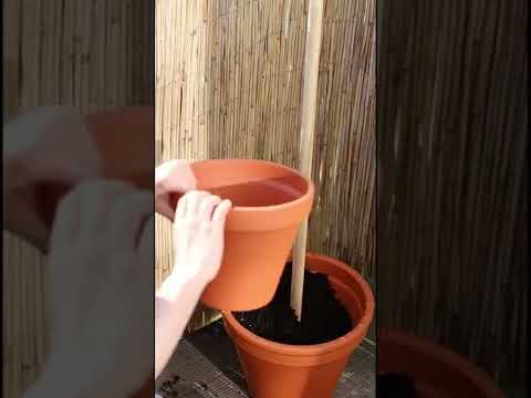 Stack Plant Pots With This Trick- #diy #outdoor